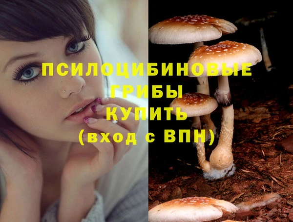 марки lsd Армянск