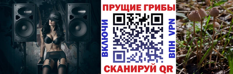 Псилоцибиновые грибы GOLDEN TEACHER  наркотики  блэк спрут ССЫЛКА  нарко площадка как зайти  Сегежа 